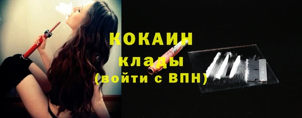 дживик Дмитров