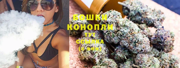 дживик Дмитров