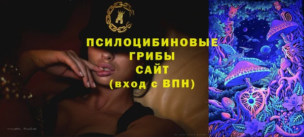 дживик Дмитров