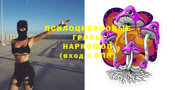 дживик Дмитров