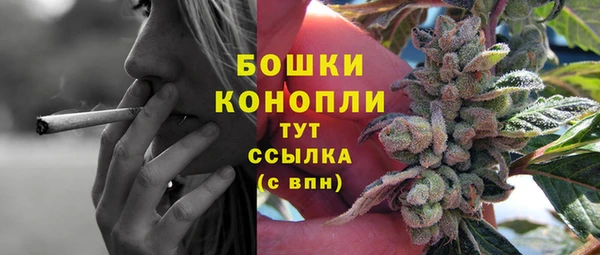 соль ск Дмитровск
