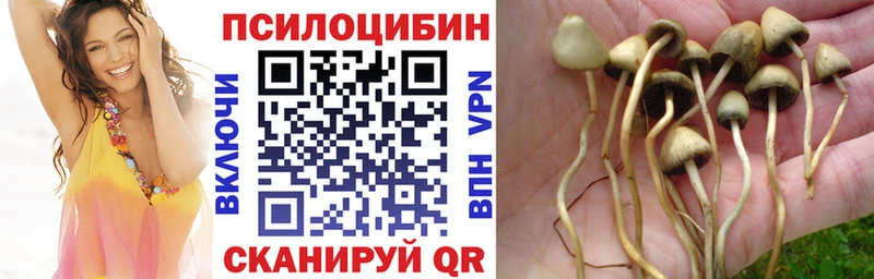 Псилоцибиновые грибы мицелий  Невинномысск 